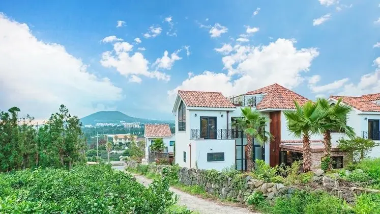 Seogwipo Hanonui Achim Pensiom - Dış Mekan