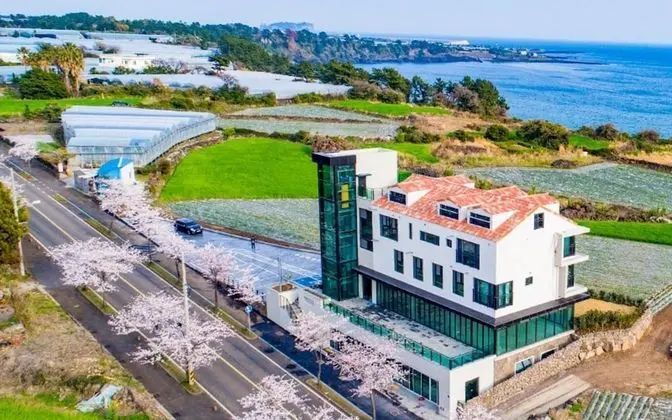 Seogwipo Hawonga Pension - Öne Çıkan Resim