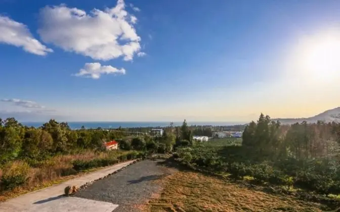 Seogwipo Jungmun Yechon Pension - Misafir Tesisleri ve Hizmetleri