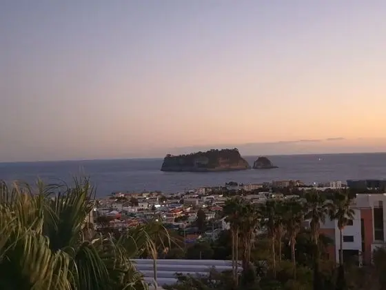 Seogwipo Livingstone Pension - Dış Mekan