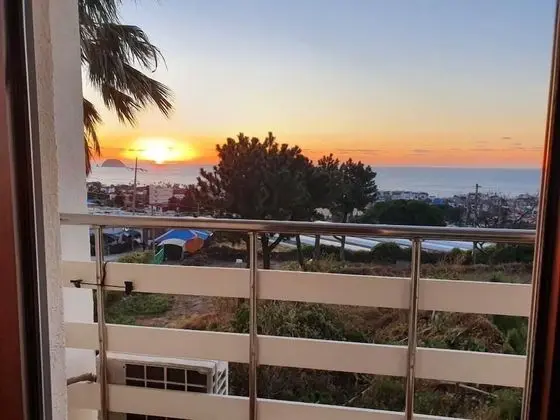 Seogwipo Livingstone Pension - Dış Mekan