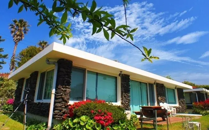 Seogwipo Seogwipo Pureunbada Pension - Misafir Tesisleri ve Hizmetleri