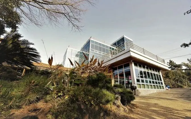 Seogwipo Wemegoong Pension - Misafir Tesisleri ve Hizmetleri