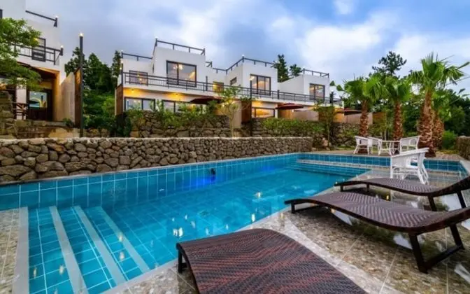 Seogwipo Who House Pool Villa - Misafir Tesisleri ve Hizmetleri
