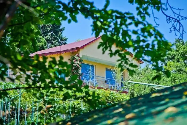 Villa Sequoia - Dış Mekan