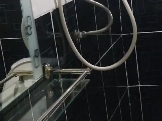 Serdang Business Hotel - Banyo Tipleri