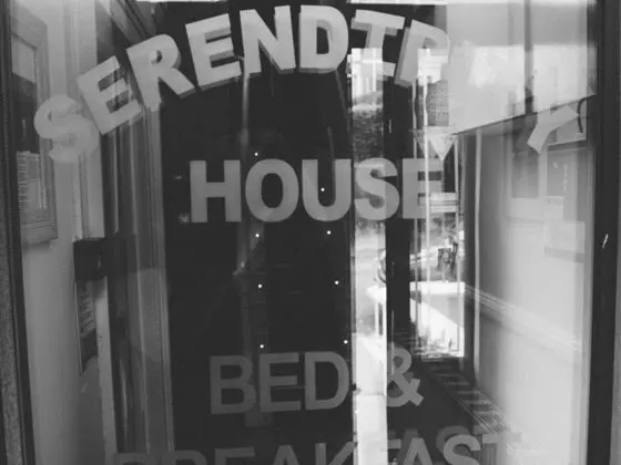 Serendipity House - Genel