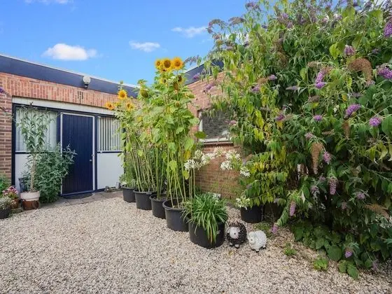 Serene Bungalow in Landgraaf With Terrace and Nature Garden