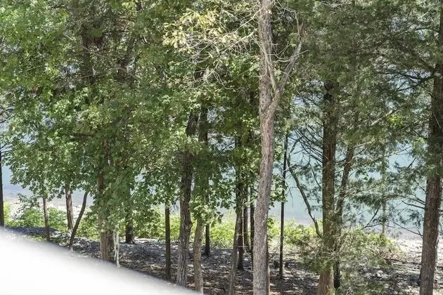 Serene Escape at Table Rock Lake - Dış Mekan