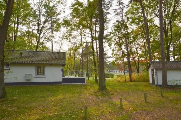 Serene Holiday Home in Limburg Amid a Forest - Dış Mekan