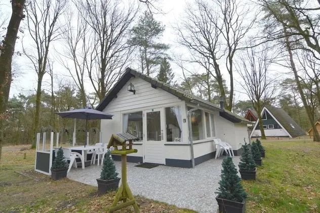 Serene Holiday Home in Limburg Amid a Forest - Öne Çıkan Resim
