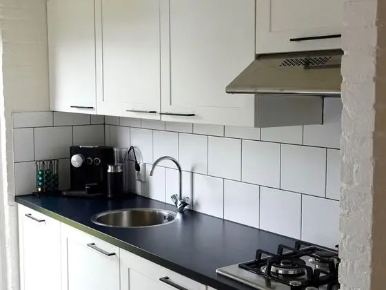 Serene Holiday Home in Noordwijkerhout With Private Terrace - Mutfak