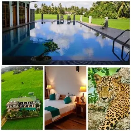 Serene Park Hotel