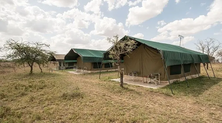 Serengeti Wild Camps - 1