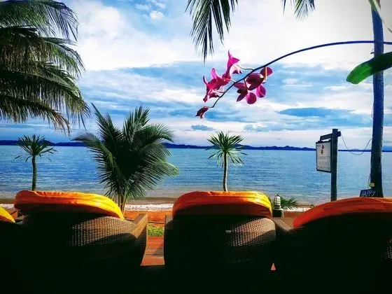 Serenity Resort - Öne Çıkan Resim