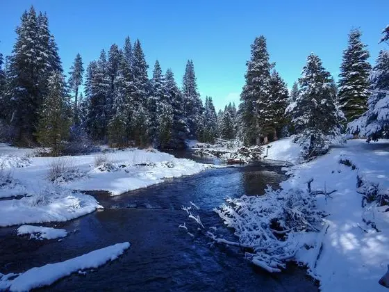 Serenity at Tahoe Donner - Genel