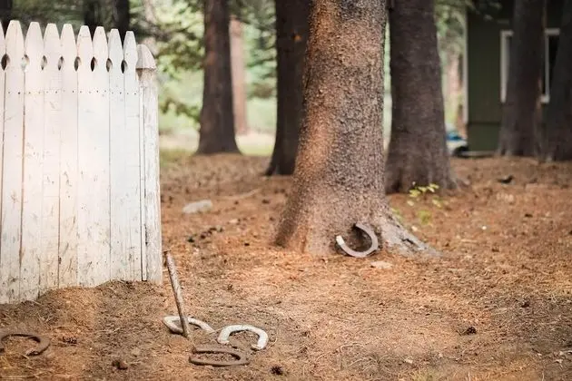 Serenity Woods - Dış Mekan