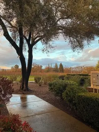 The Setting Inn Napa Valley - Dış Mekan