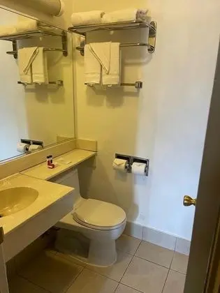 SF Central Hotel - Banyo Tipleri