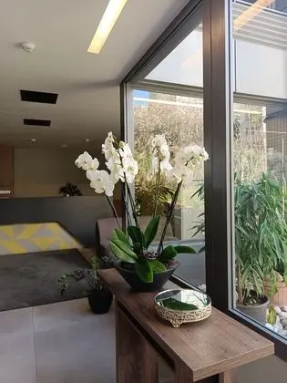 Shade Suites and Studios