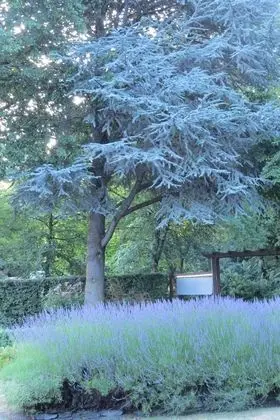Shades of Arrowtown - Dış Mekan