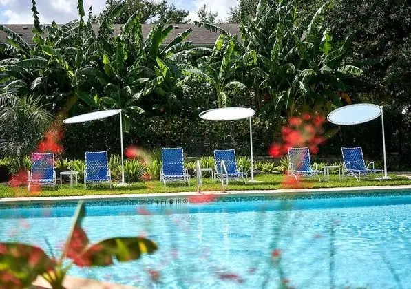 Shady Villa Hotel - Havuz