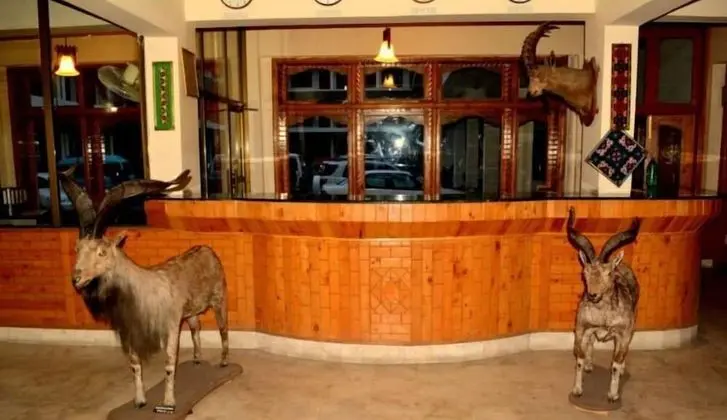 Hotel shaheen International