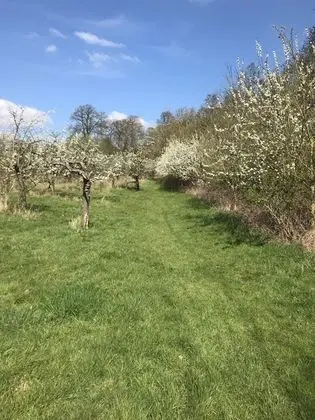 Shakespeare s View - Dış Mekan