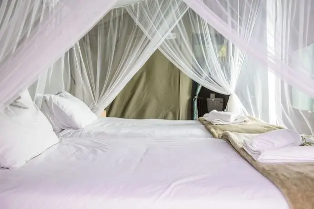 Shalati Safari Camp - Oda