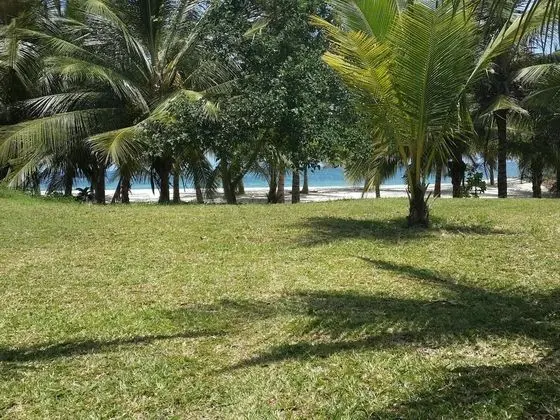 Shamba La Salama - Dış Mekan