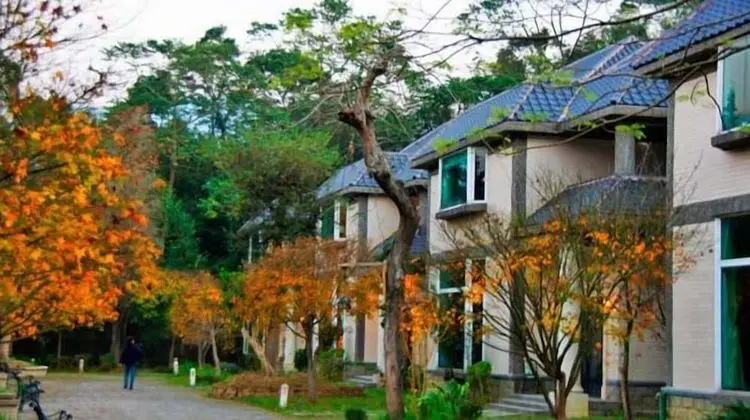 Shan Lin B&B
