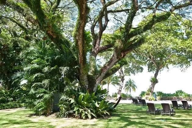 Shangri-La's Rasa Sayang Resort and Spa, Penang