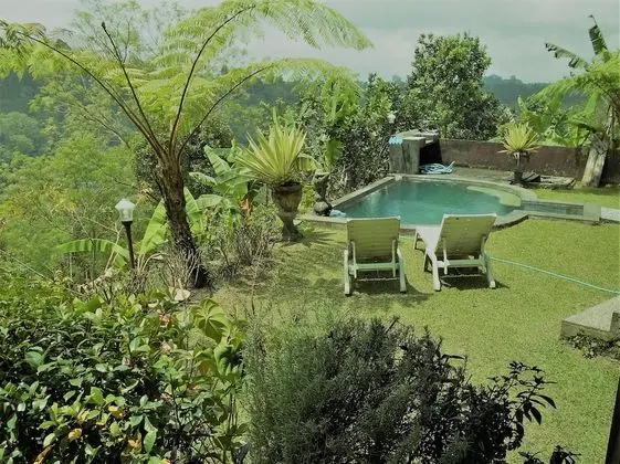 Shangrilah Villas - Lobi