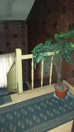 Shans 2 Hostel - İç Mekan