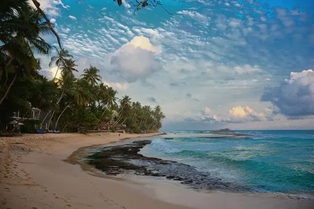 Shanthi beach resort - Plaj