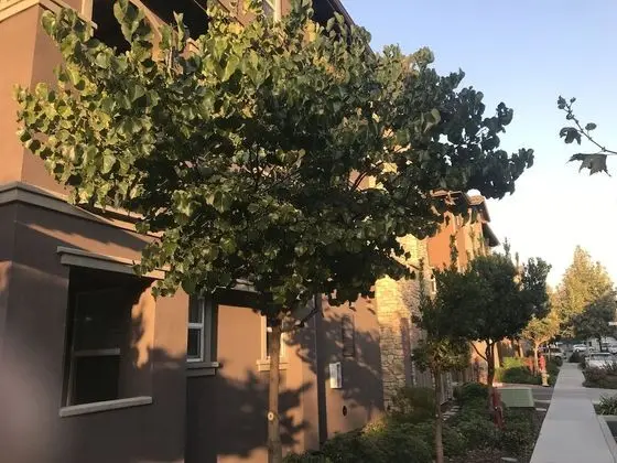 Shared Private Home at Santana Row