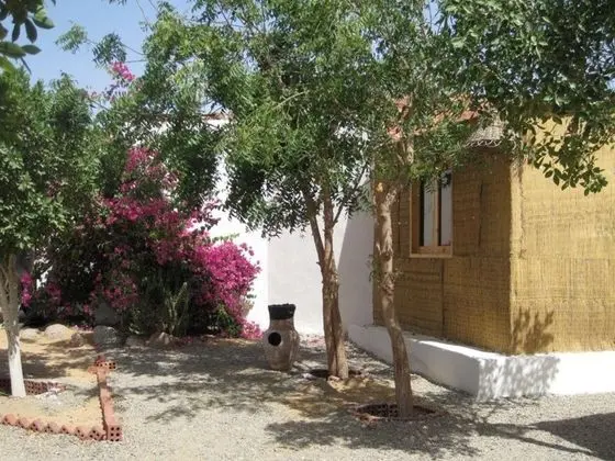 Sharks Bay Umbi Diving Village