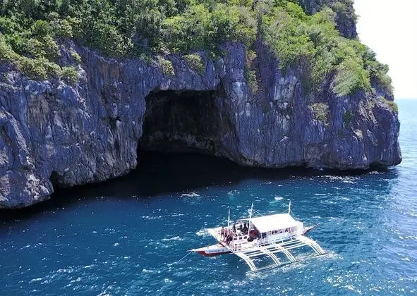 The Shark's Tail Dive Center