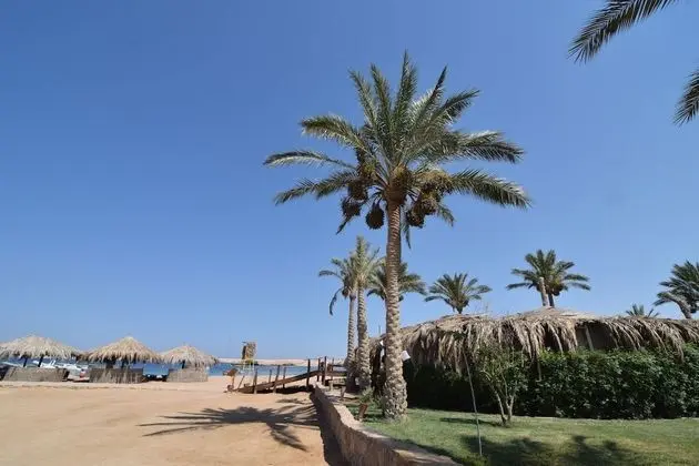 Sharm El Naga Resort and Diving Center - Dış Mekan