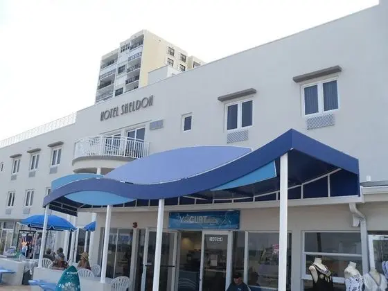 Sheldon Hotel - Genel