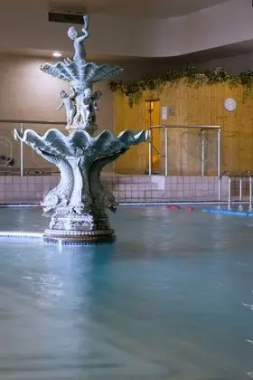 Sheldon Park Hotel and Leisure Club - Havuz