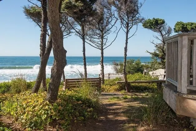 Sheltering Pines - Dış Mekan