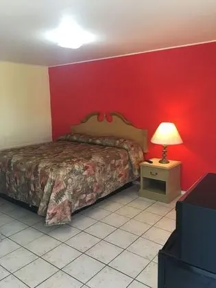 Shelton Motel - Oda