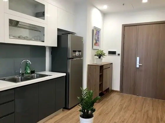 Shendo Vinhomes Metropolis - Mutfak