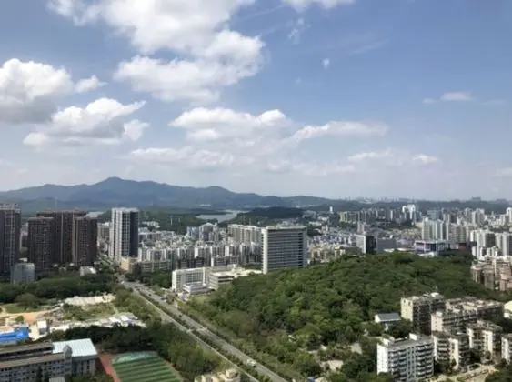 Shengang Executive Apartment (Shenzhen Vanke Yuncheng Store)