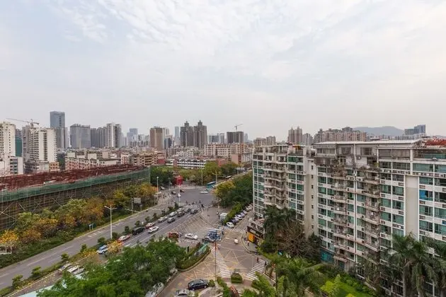 Shenzhen New Swan Castle Hotel
