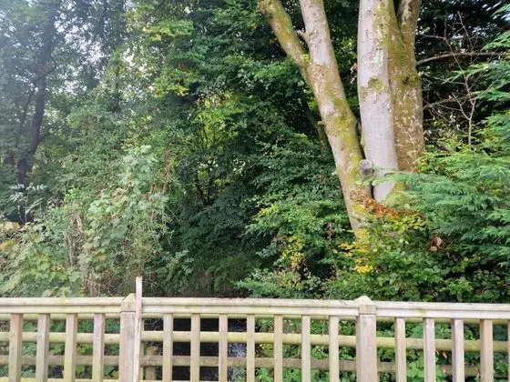 Shepherds Hut - Riverside 1 - Oda Düzeni