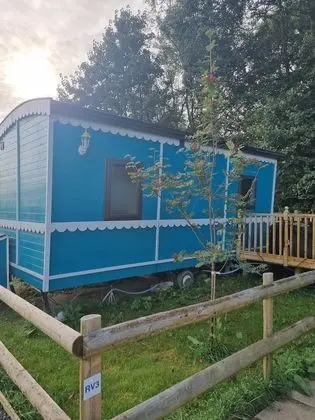 Shepherds Hut - Riverview 3