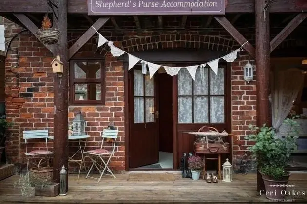 The Shepherd's Purse