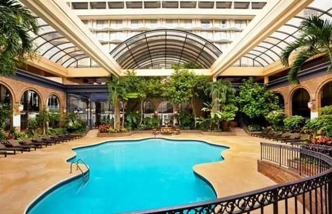 Sheraton Atlanta - Havuz